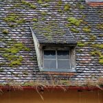 DIY: Roof Maintenance Tips
