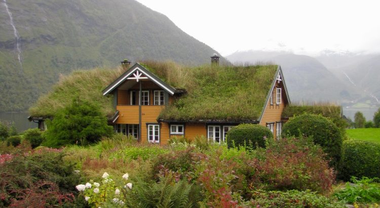 Top 5 Reasons To Install A Green Roof On Your Home